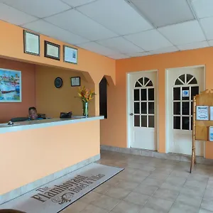 https://the-flamboyant-villas.comcaribbean.com